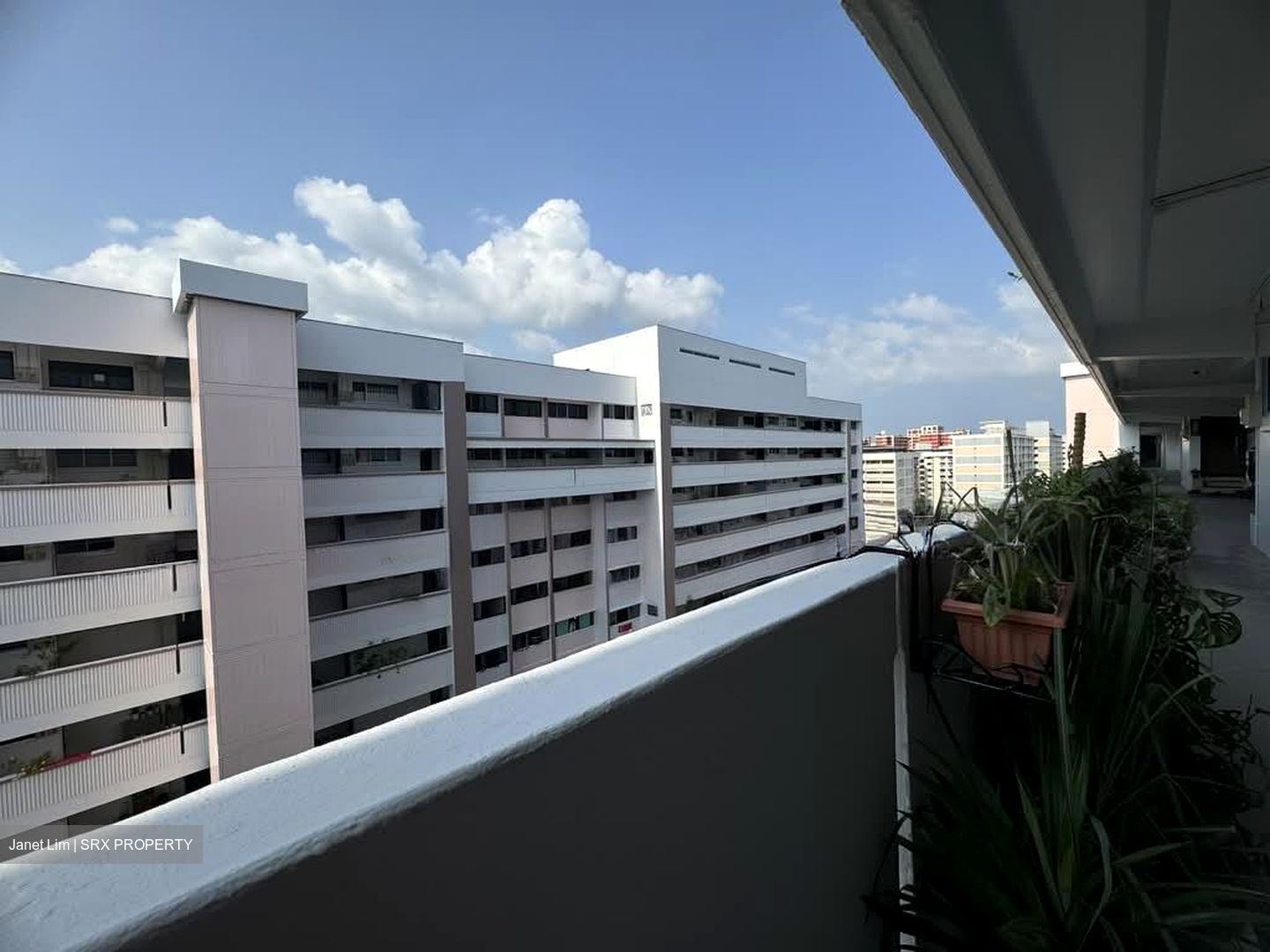 Blk 884 Tampines Spring (Tampines), HDB 3 Rooms #594051491